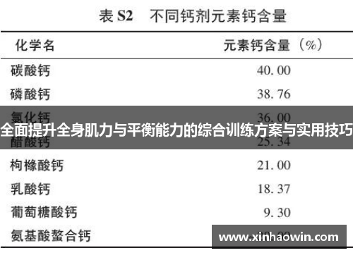 全面提升全身肌力与平衡能力的综合训练方案与实用技巧