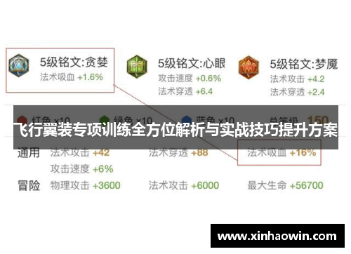 飞行翼装专项训练全方位解析与实战技巧提升方案