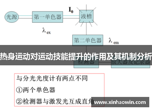 热身运动对运动技能提升的作用及其机制分析