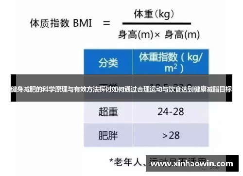 健身减肥的科学原理与有效方法探讨如何通过合理运动与饮食达到健康减脂目标
