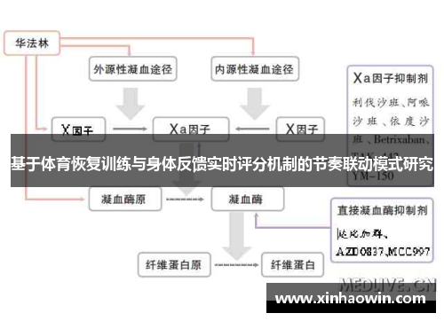 基于体育恢复训练与身体反馈实时评分机制的节奏联动模式研究